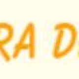 Theora Design
