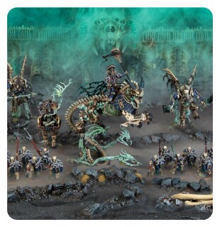 Age of Sigmar: Battleforce: Ossiarch Bonereapers – Null Myriad Phalanx