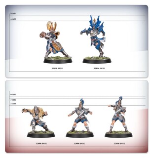 Blood Bowl: High Elf Blood Bowl Team: The Caledor Dragons