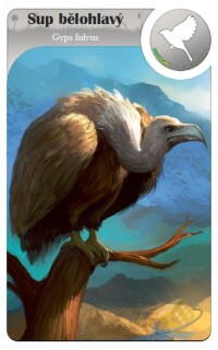 Cardline Svět zvířat