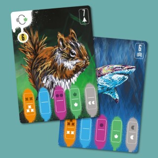 Coexist Deluxe (Kickstarter version)