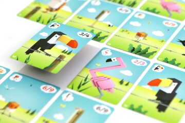 CuBirds