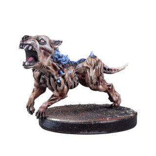 Deadzone Plague Infection Starter