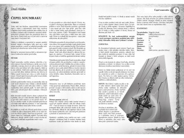 Dračí Hlídka – Kniha artefaktů