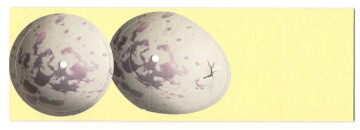 Dungeon Petz: Bob the Blob Promo Pet