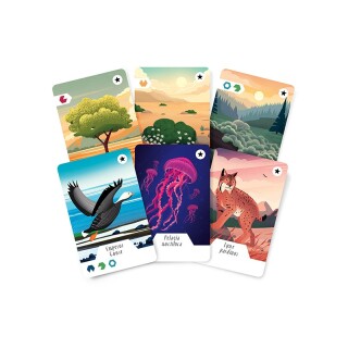 Ecosfera: Expansion