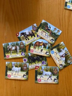 Epona