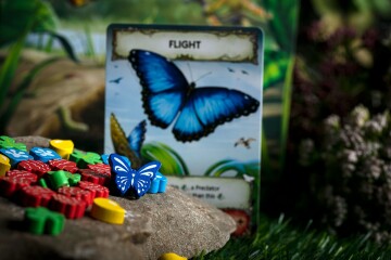 Evolution: New World – Butterfly Effect