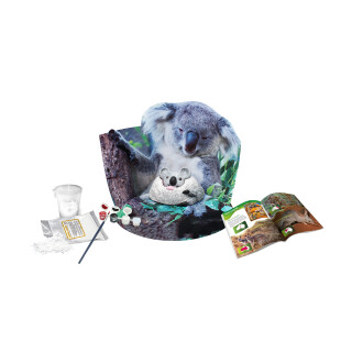 Exkurze do divočiny Koaly, klokani a další vačnatci - Albi