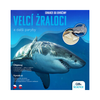Exkurze do divočiny Velcí žraloci a další paryby - Albi
