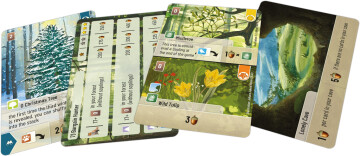 Forest Shuffle: Exploration