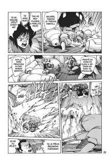 Ghost in the Shell 1
