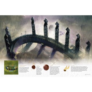 Harry Potter Famfrpál