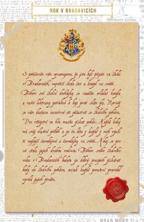 Harry Potter: Rok v Bradavicích