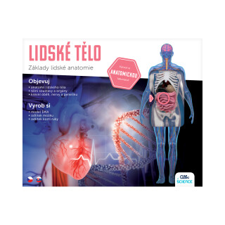 Lidské tělo - Albi