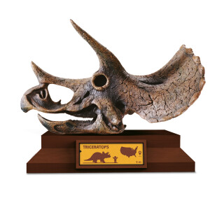 Lovci lebek: Triceratops - Albi