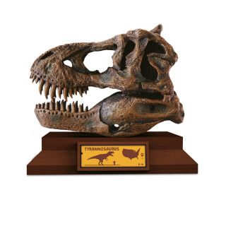 Lovci Lebek - Tyrannosaurus - Albi