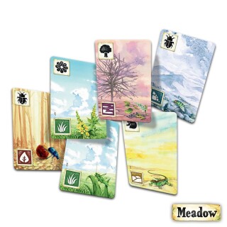 Meadow