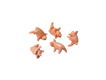 Mini Prasátka - kostková hra