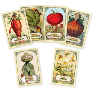 Mr. Cabbagehead's Garden