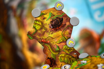Mravenci