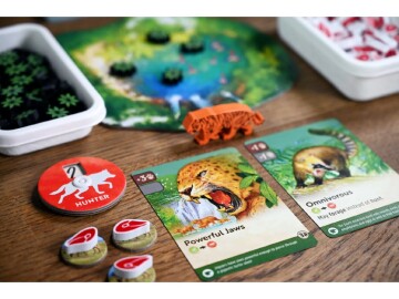 Nature: Amazon Rainforest