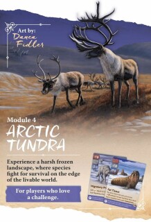Nature: Arctic Tundra
