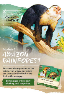 Nature Big Box Deluxe (EN)
