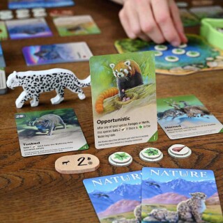 Nature Big Box Deluxe (EN)