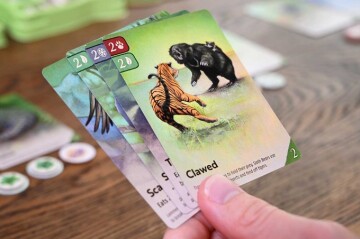 Nature Big Box Deluxe (EN)