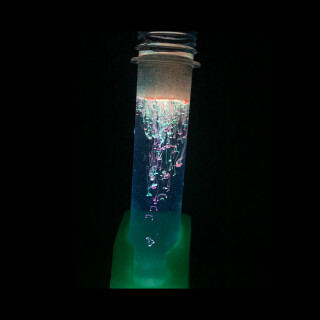 Neonové experimenty - Albi
