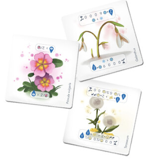 Petrichor: Flowers