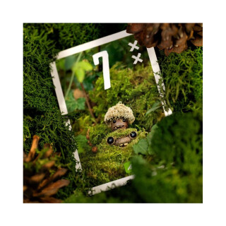 Pixies TT Games