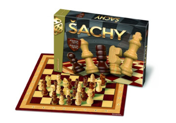 Šachy s dřevěnými figurkami