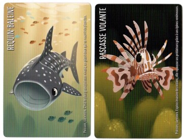 Similo: Aquatic Animals – Promo Cards