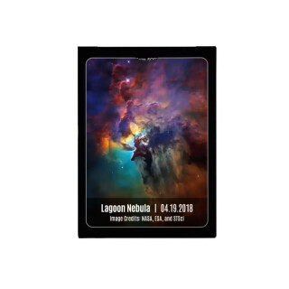Stargazer 204
