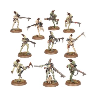 T'au Empire: Kroot Carnivores (Warhammer 40,000)