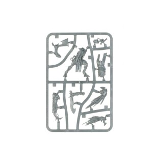 T'au Empire: Kroot Flesh Shaper (Warhammer 40,000)