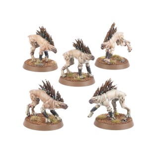 T'au Empire: Kroot Hounds (Warhammer 40,000)