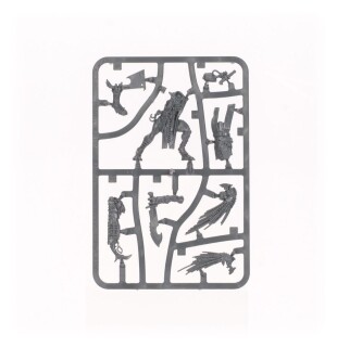 T'au Empire: Kroot Trail Shaper (Warhammer 40,000)