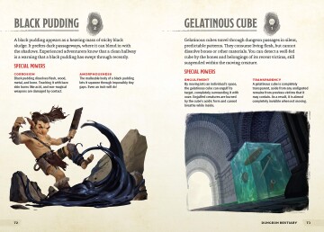 The Young Adventurer's Collection Dungeons & Dragons 4-Book Boxed Set