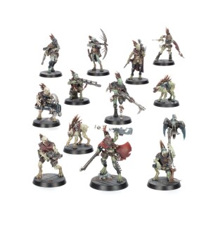 Warhammer 40000: Combat Patrol: Kroot