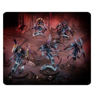 Warhammer 40000: Kill Team: Ravenes