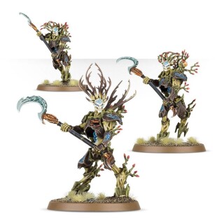 Warhammer Age of Sigmar: Battleforce: Sylvaneth – Strongroot Grove