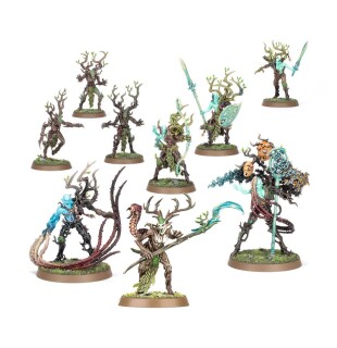 Warhammer Age of Sigmar: Regiment of Renown: Sylvaneth – The Twisted Branch