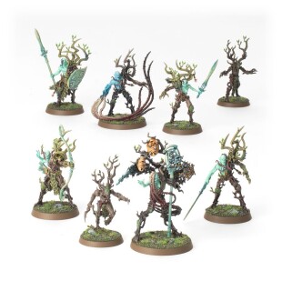 Warhammer Age of Sigmar: Regiment of Renown: Sylvaneth – The Twisted Branch