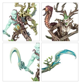 Warhammer Age of Sigmar: Regiment of Renown: Sylvaneth – The Twisted Branch