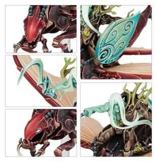 Warhammer Age of Sigmar: Spearhead: Sylvaneth – Spitewing Flight