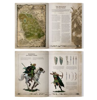 Warhammer: the Old World - Arcane Journal: Wood Elf Realms