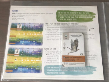 Wingspan 2nd Edition